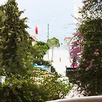 Overlooking The Sea *
