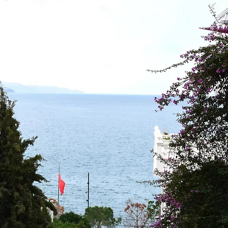 Overlooking The Sea *