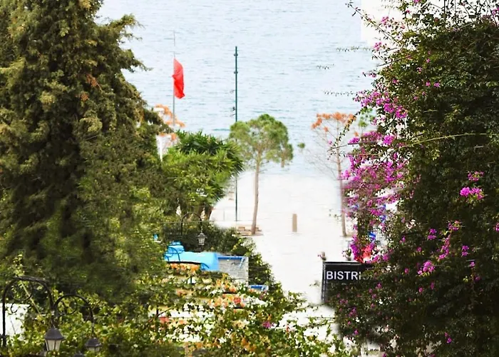 Overlooking The Sea *