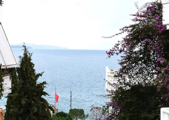 Overlooking The Sea *